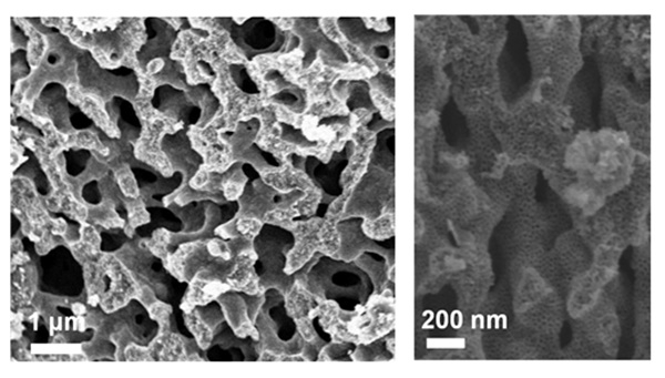이진우 KAIST 교수팀이 합성한 계층형 다공성 티타늄질화물 전자현미경 사진(사진=KAIST)