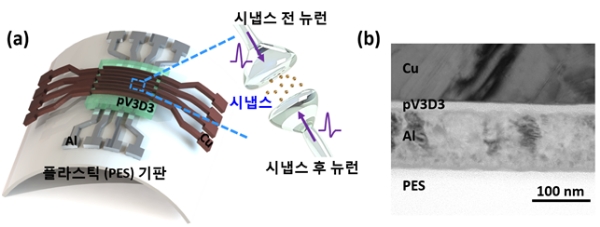 최성율 KAIST 전기및전자공학부 교수 연구팀이 멤리스터 소자의 구동 방식을 아날로그 형태로 변화시켜 뉴로모픽 칩의 시냅스로 활용할 수 있는 기술을 개발했다. 사진은 플라스틱 기판 위에 제작된 유연 멤리스터 시냅스 소자 모식도. (사진=KAIST)