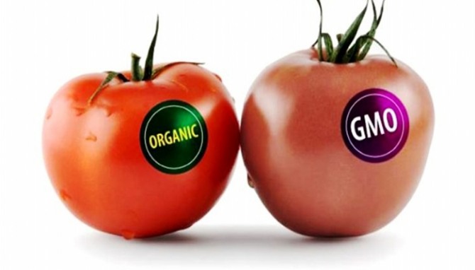 세계 최대 GMO 생산 국가인 미국의 캘리포니아가 GMO와 유기농과의 격전지로 부상하고있다. 미국에서 처음으로 GMO작물을 받아들인 캘리포니아의 유기농 시장이 급성장하고 있다. 캘리포니아는 GMO작물 생산도 국내 수위를 달라는 지역이다.   