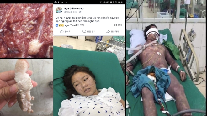 베트남 호찌민에서는 돼지콜레라로 폐사된 돼지고기를 먹고 사람이 감염됐다는 확인되지 않은 사례가 소셜미디어를 통해 퍼지고 있다.