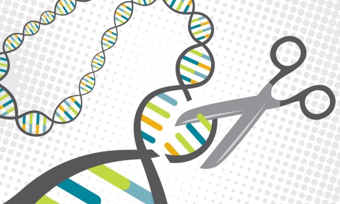 19일 세계보건기구(WHO)는 당사자가 누구이든 간에 과학자가 사람을 대상으로 유전자편집 연구를 실시하는 것은 무책임한 행동이며, 관련 연구의 투명성을 보장하기 위해 인간 유전자편집 연구계획을 총괄하는 등록 기관이 설립되어야 한다고 촉구했다. 