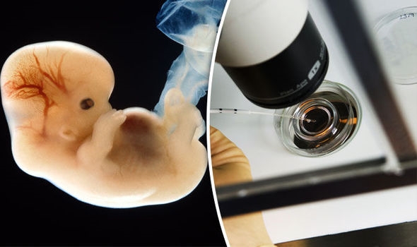 최근 인간 배아를 대상으로 한 유전자변형 기술이 논란이 되고 있는 가운데 일본 정부가 유전자 편집 기술에 대한 지침을 마련해 1일부터 시행에 들어갔다. 이 지침에 따르면 유전자변형 수정란을 인간과 동물의 자궁에 이식하는 것은 금지하고 있다.   