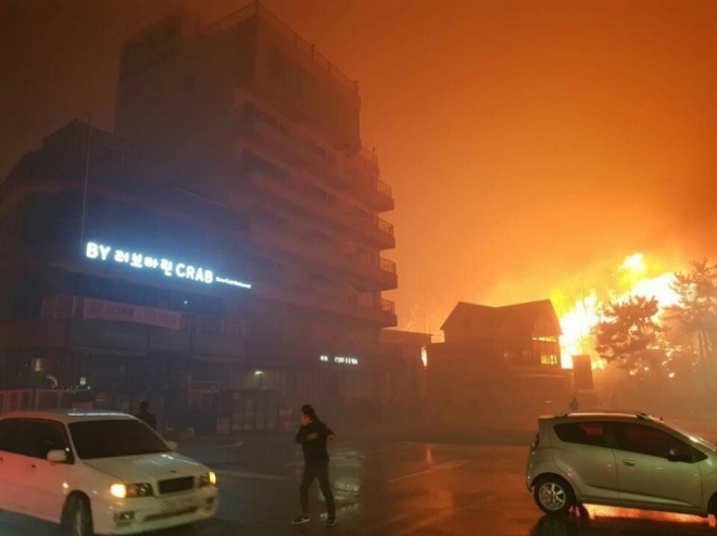 한국전력공사는 4일 오후 발생한 강원 고성 산불 원인을변압기 아닌 개폐기 전선에서 발생한 불꽃으로 추정했다. 사진=뉴시스 