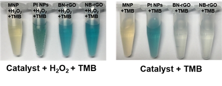 촉매의 과산화효소와 산화효소 활성을 시각적으로 확인할 수 있는 사진(사진=KAIST)