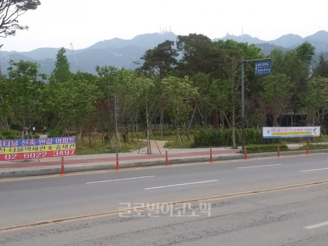 과천지역 재건축이 활발한 가운데 숲 산책로가 곳곳에 눈에 띄어 '친환경 단지'의 면모를 드러내고 있다. 사진=오은서 기자