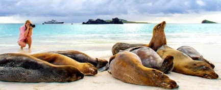 대한민국 에콰도르  U-20 월드컵축구 준결승 대체 어떤 나라?  사진은 에콰도르 갈파파고스 모습  