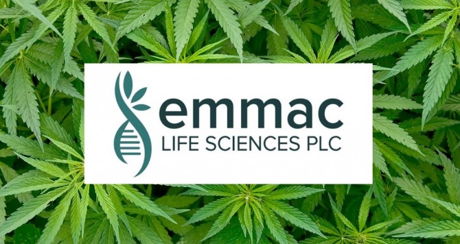 런던에 본사를 둔 EMMAC생명과학은 2018년에 설립된 유럽의 종합 의료 대마초 대기업으로, 최신 혁신 기술과 첨단 과학 연구를 동시에 진행하고 있다. 자료=EMMAC