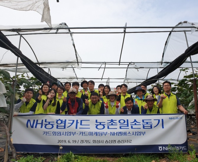 NH농협카드 임직원 30여명이 지난 19일 경기도 화성시 송산면에 위치한 포도농장을 찾아 농촌일손돕기를 진행했다. (사진=농협카드)