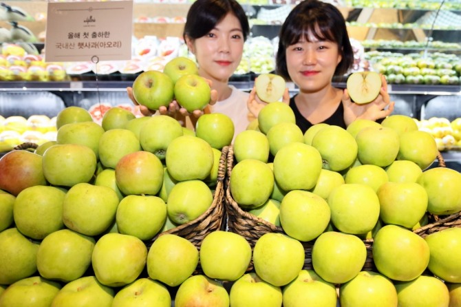 갤러리아백화점이 지난 2일 서울 압구정동 명품관 식품관인 ‘고메이494’에 올해 처음으로 출하된 아오리 햇사과를 선보였다.  사진=갤러리아백화점