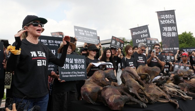 12일 서울 여의도 국회 앞에서 열린 '식용 목적 개 도살 금지'를 주장하는 동물해방물결의 발언이 이어지고 있다. 사진=뉴시스