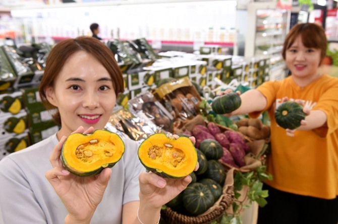 서울 서초구 하나로마트 양재점에서 모델들이 여름 제철 간식인 감자·밤고구마·찰옥수수·미니단호박을 선보이고 있다. 할인 행사는 8~11일까지다. 사진=농협유통
