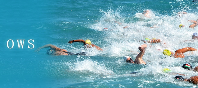 지난 11일 1년 앞으로 다가온 도쿄올림픽의 운영 상황을 점검하기 위한 오픈워터수영(Open Water Swimming) 테스트 대회가 실전 대회 장소인 도쿄 오다이바 해변공원에서 실시됐다. 자료=JSF