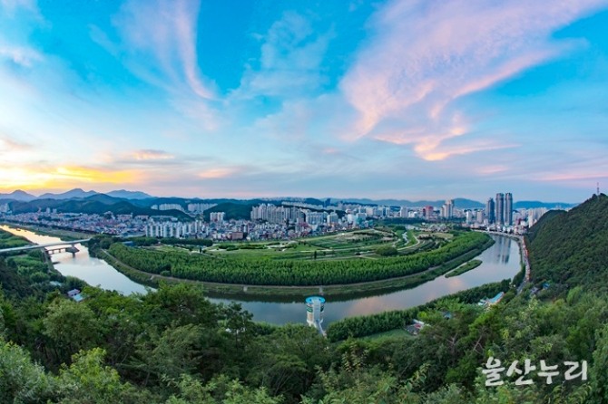 국내 2호 국가정원인 '태화강'이 '죽음의 강'에서 본모습을 찾아 우리에게 '자연의 선물'로 다가온다. 사진=울산시청 블로그 캡처