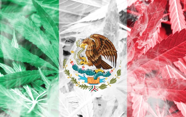 미국 국경검문소가 할라페뇨의 화물에 혼입시킨 4톤에 이르는 대량의 마리화나를 압수했다.