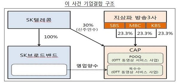 SKT-CAP 기업결합구조(자료=공정거래위원회)