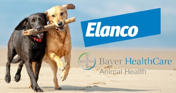 엘란코 애니멀 헬스가 독일 바이엘(Bayer)의 동물용 의약품 사업을 76억 달러에 인수한다. 자료=글로벌이코노믹