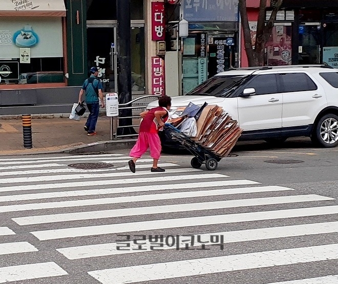 한 여성 노인이 새벽부터 모은 폐지를 캐리어에 실고 도로를 역주행 하고 있다. 