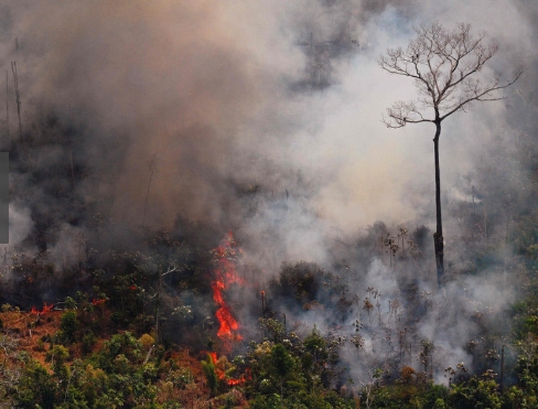 아마존 열대우림이 3개월째 불타고 있다. 미중 무역전쟁으로 브라질산 쇠고기와 대두가 중국으로 수출되면서 아마존 화재도 급증하고 있다는 분석이 나오고 있다.