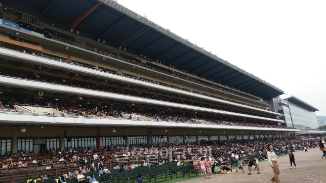 8일 오후 경기 과천 서울경마공원 관람대에서 관람객들이 '2019 코리아컵·코리아스프린트' 대회를 구경하고 있다.이날 관람대와 경주로 사이의 야외관람석 '그랜드스탠드'에는 부모와 함께 온 아이들이 뛰어노는 모습이 많이 눈에 띄었다. 사진=김철훈 기자 