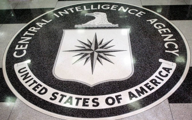 미국 중앙정보부(CIA)는 냉전시대에 고양이 돌고래 비둘기 등을 첩보 작전에 활용한 것으로 드러났다. 사진=로이터/뉴스1