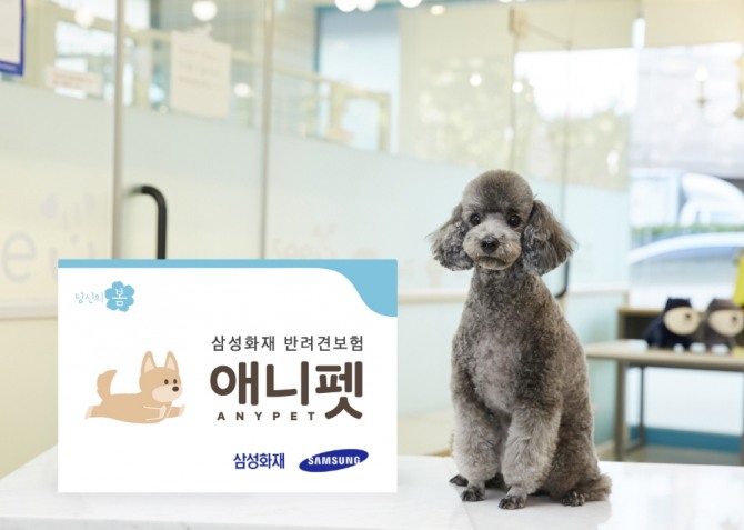 삼성화재는 서울시 동물보호센터에서 유기견을 입양하는 모든 시민에게 '반려견보험 애니펫' 가입을 지원하고 있다. 사진=삼성화재