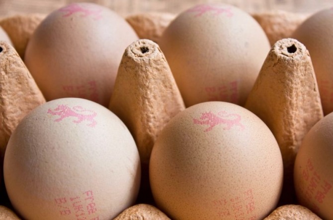 영국 식품당국은 시중에 판매중인 달걀에서 리스테리아와 살모넬라균이 발견돼 긴급 리콜조치에 들어갔다.