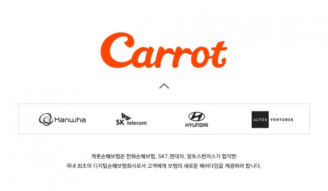 캐롯손해보험 CI.