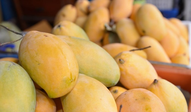 맛이 갈고 무르지 않는 캄보디아산 망고가 이르면 11월 한국으로 선적된다. 사진=프놈펜타임스