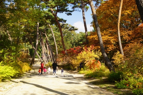 도심 속 조선 궁궐과 왕릉이 가을을 맞아 '단풍 명소'로 옷을 갈아입는다. 사진=문화재청