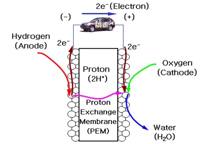 연료전지 작동원리(출처 : 산업인력공단 그린카)