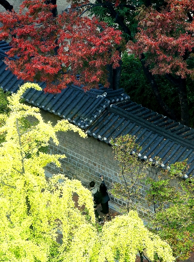 지난 24일 덕수궁 돌담길에 단풍이 물들어 있다. 사진=뉴시스