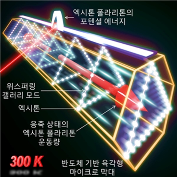 반도체 육각형 막대구조에서 생성되는 상온 엑시톤 폴라리톤 응축및 이의 운동량 제어 얼개. 자료=KAIST