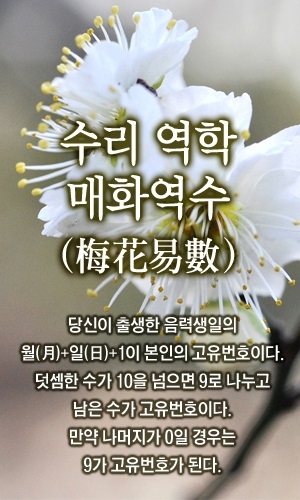 [글로벌이코노믹] 금휘궁의 수리오늘의운세