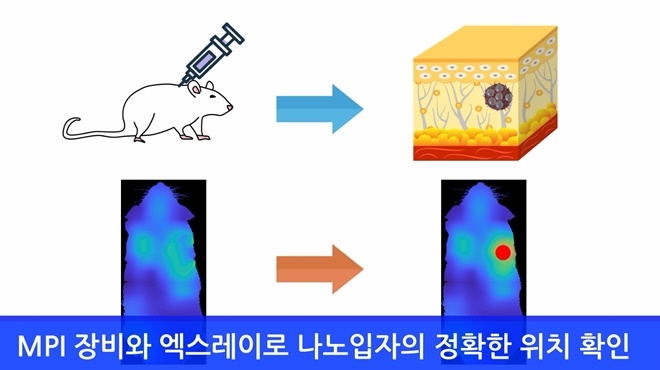 쥐에게 나노 산화철입자를 투여해 MPI 장비로 질병 위치를 파악하는 ETRI연구진의 성과를 보여주는 그래픽. 자료=ETRI