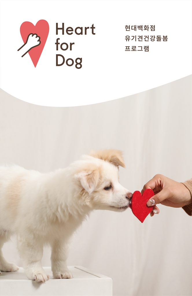 현대백화점은 12월 2일부터 유기견 건강 돌봄 프로그램 ‘하트 포 도그(Heart for dog)’를 진행한다고 밝혔다. 사진=현대백화점