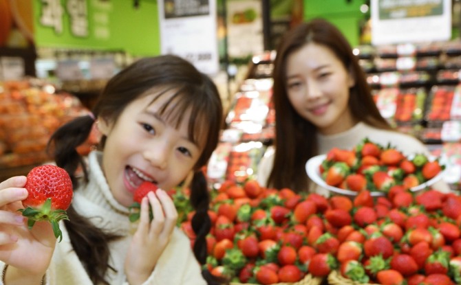 롯데마트 서울역점에서 모델들이 국산 설향 딸기를 소개하고 있다. 사진=롯데마트