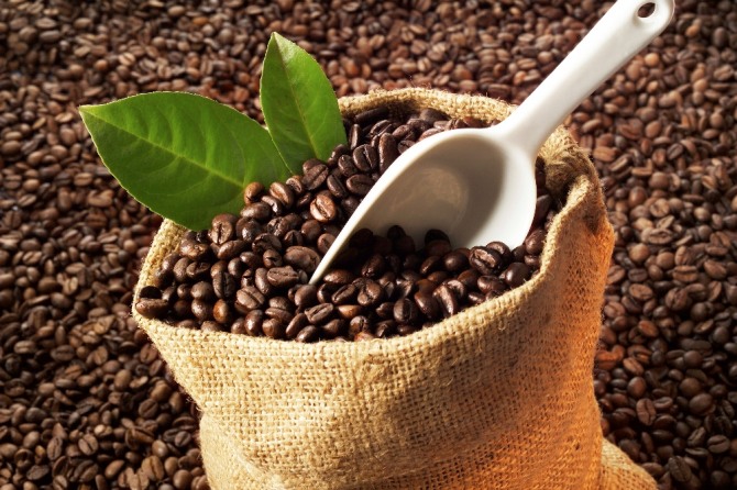 인류의 가장 친근한 음료 커피가 사라질 위기에 놓였다. 사진=글로벌이코노믹