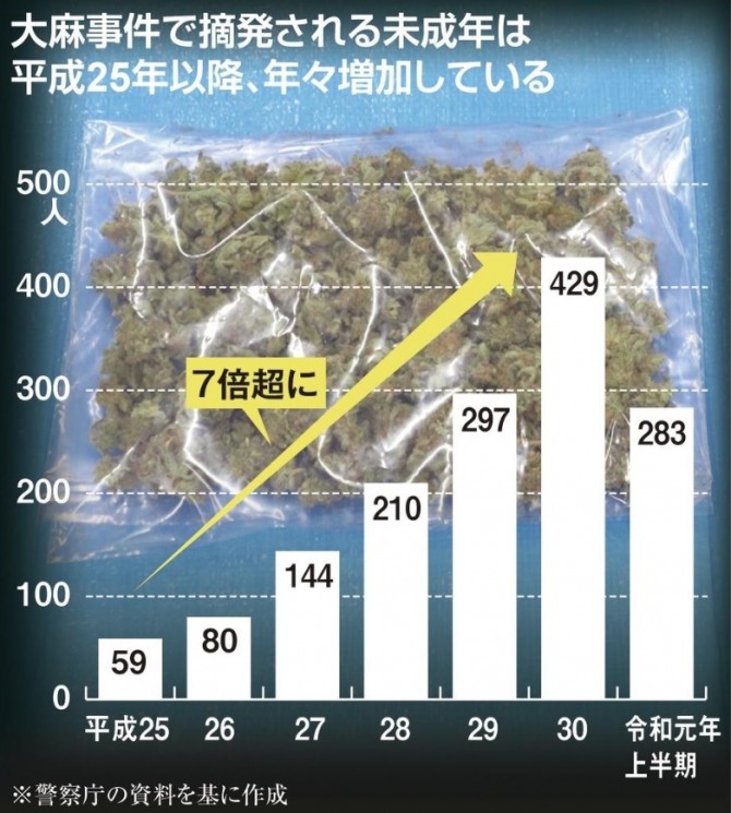 일본 미성년자들의 대마초 적발 사건이 지난 5년간 무려 7배 이상 급증했다. 자료=경찰청