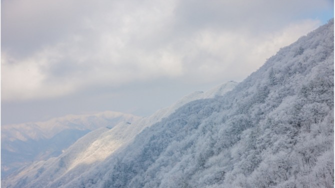 무주 덕유산리조트가 위치한 덕유산은 겨울이 되면 '순백의 눈꽃'을 선사한다. 사진=무주 덕유산리조트