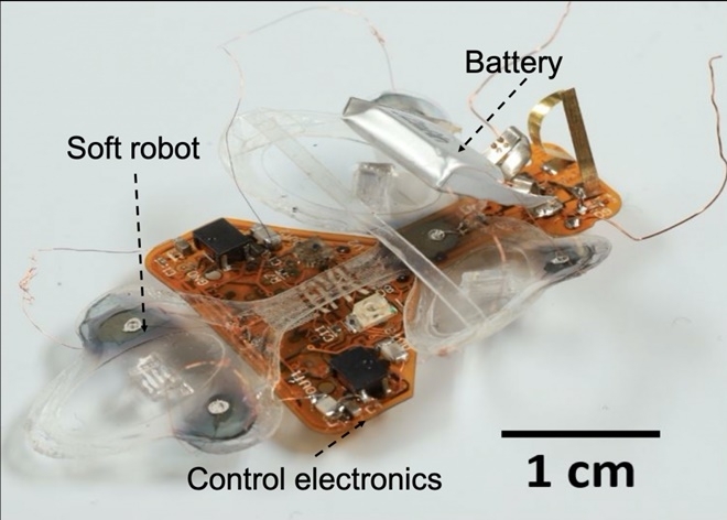 스위스연방공대와 프랑스 써지 뽕두와 대학교 연구팀이 만든 로봇파리의 얼개. 사진=사이언스 로보틱스