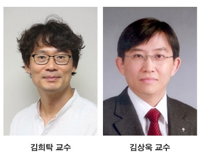 김희탁 김상욱 KAIST 교수팀이 멤브레인이 불필요하고 발화되지 않고 가격도 싼 새로운 아연브롬 배터리를 개발했다. 사진=사진=KAIST 