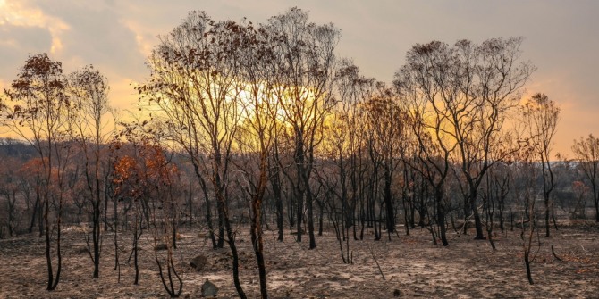 호주는 지난해 9월부터 이어진 산불로 인해 현재까지 최소 26명이 사망했으며, 2550만 에이커(10만3194㎢)의 임야가 불타 사라졌고, 가축을 포함한 약 10억 마리의 동물이 죽거나 다쳤다. 자료=선코프