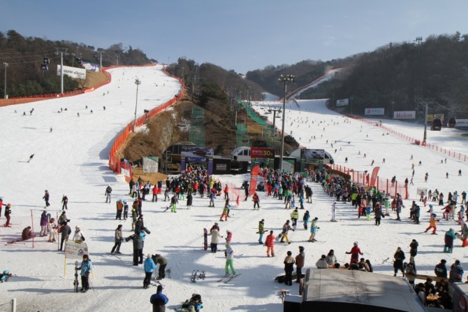 카드사들이 겨울 스키 시즌을 맞아 스키장 할인 이벤트를 펼치고 있다. 사진=뉴시스