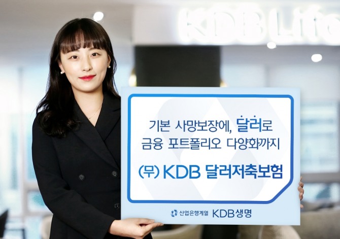 KDB생명이 '(무)KDB 달러저축보험'을 출시했다. 사진=KDB생명