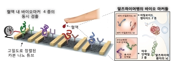 알츠하이머병 진단센서 모식도. 자료=카이스트