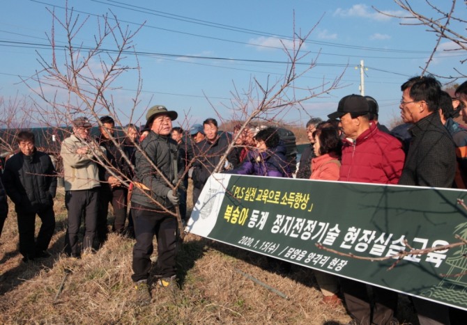 전남 담양군이 지난 15일 본격적인 영농을 앞두고 농업기술센터와 담양읍 양각리 김한수 씨 농장에서 복숭아 재배 교육을 실시했다. /전남 담양군=제공