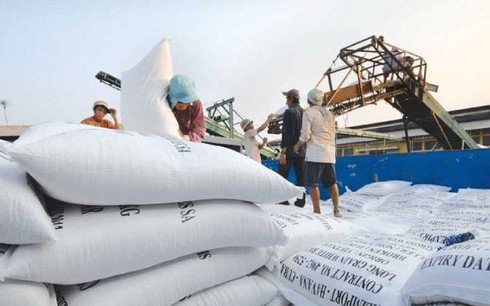 쌀 수출 단가 인하로 어려움을 겪고 있는 베트남이 한국 정부의 수입물량 할당으로 올해 한국에 5만5000t의 쌀을 수출할 것이라는 보인다. 사진=카페프닷브이엔.