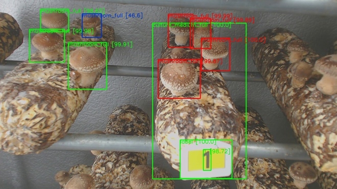 ㈜인튜웍스가 개발한 버섯 양식 영상 자동 분석 시스템. 사진=ETRI