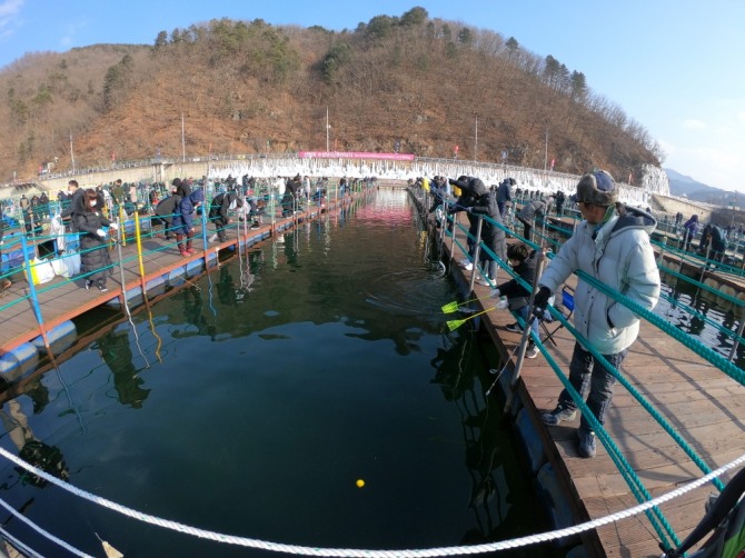  지난 8일 오후 강원 화천군 화천읍 화천천에서 열리고 있는 화천산천어축제장을 찾은 관광객이 산천어를 낚아 올리고 있다. 사진=뉴시스