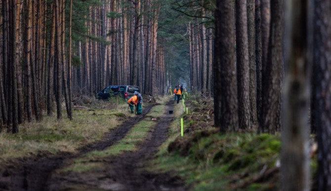 독일의 테슬라 기가팩토리4 부지에서 진행 중인 나무 제거 작업 모습. 사진=테슬라